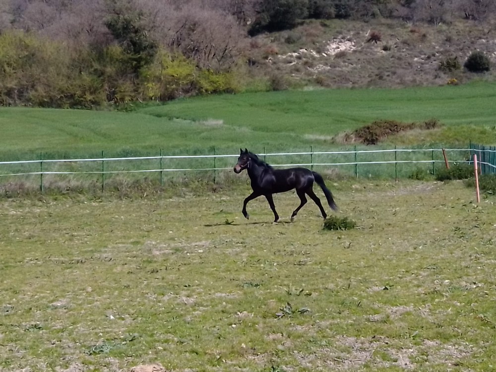 #yoentrenoencasa con Juan Carlos Rodríguez